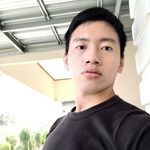developer